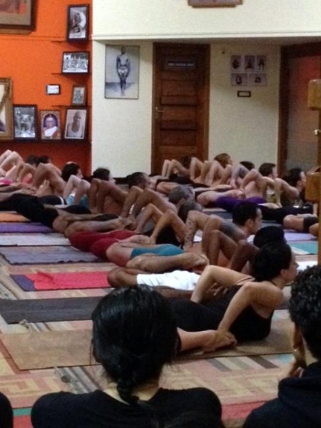 Yoga Republic  Kurs Jogi od Podstaw